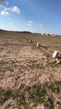 البكارة عبور السيطرة • ٢٠٠م • قطعة للبيع