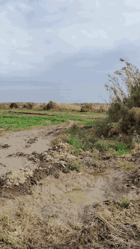 #للبيع
ارض زراعيه 7 دونم
في #الديوانية_السنية_نزله_البوناهض
#بيع_مستعجل_بسعر_مناسب_جدا 
الواجهة ٦٥متر
النزال 313متر
الارض صالحه للزراعه 🪴🍀
تحتوي على عدد من 🌴🌴فسائل النخيل 
تحتوي على حصه مائيه💦
الارض محدده  رسميا من جميع الاتجاهات
للاستفسار مراجعه مكتب ابو ولي النائلي للعقار  في السنية الشارع التجاري جوار عمارة سيد كريم دنكه
***********
