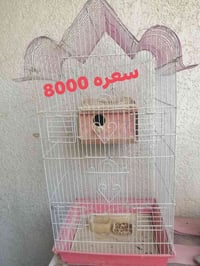 كربلاء العسكري • غراض للبيع • سعر مكتوب