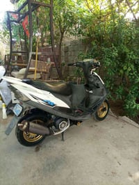 اصليه • صوت وطكه • فحل