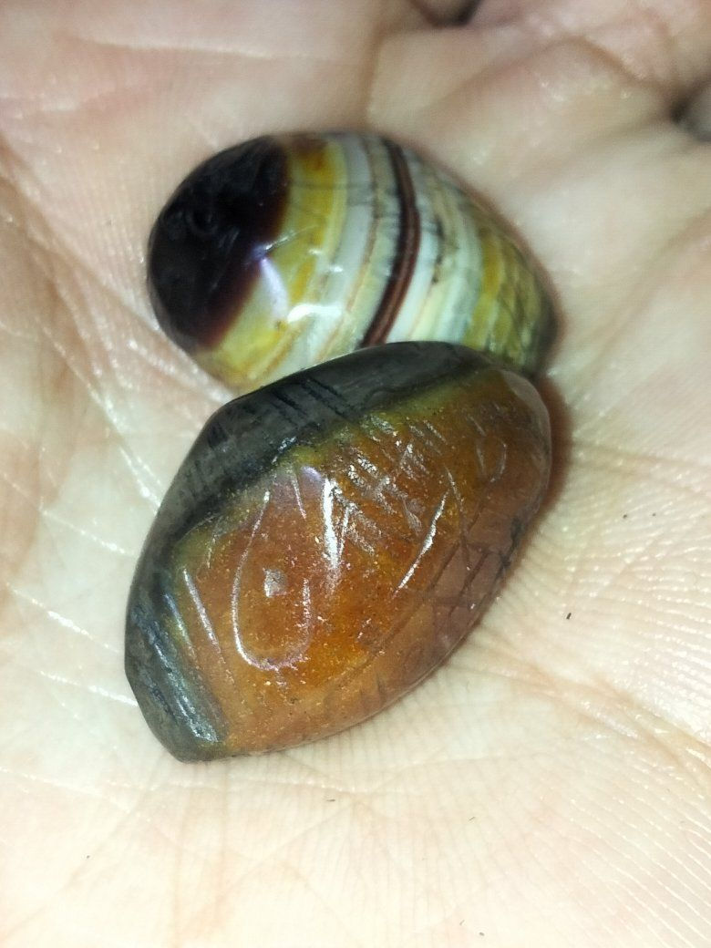 جزعاات داوودي مطلسم ومنقوش 150


**إذا كنت صاحب هذا الإعلان وتريد حذفه لأي سبب، رجاءا أرسل رسالة إلى الدعم الفني**