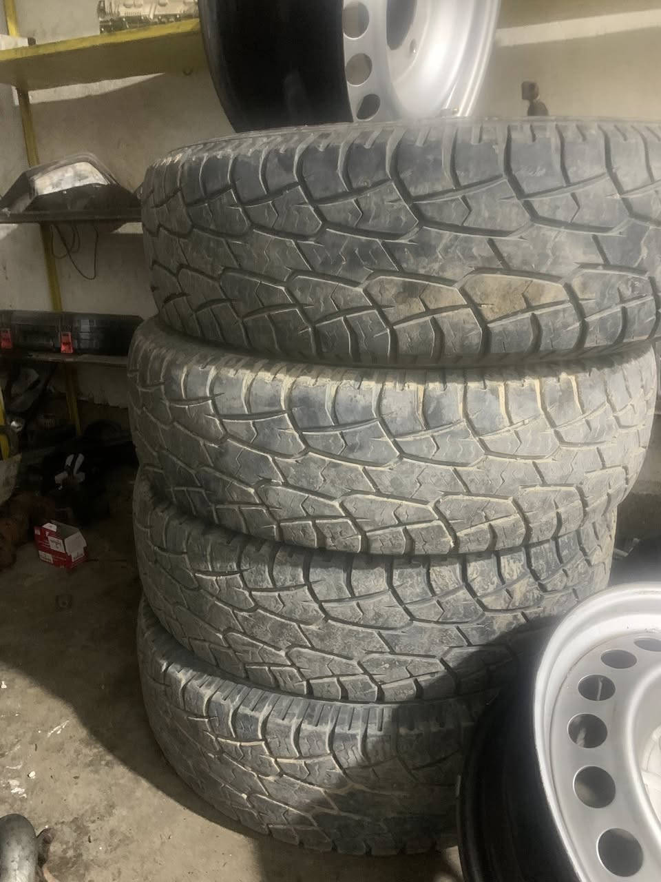 سلاو هاورييان ئةم چولر تايةو ويلة حةفدةمان هةية بو فروشتن بي عةيةبن ويستان جةرةس بو خاوةني بكةن ***********
