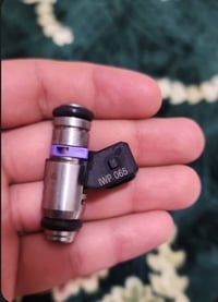 قطع غيار • تخم كامل • بلجيس