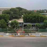 ورد ياسمين جوري • مشتل المتنبي • مدينة احلام النعمانية