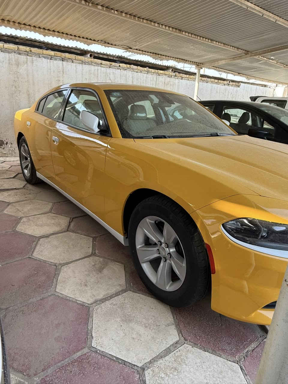 🔺دخول جديد دوج جارجر امريكي🔺

الموديل .2023🪬 اصل 

               (الاصدار الاخيرررر)

              اللون . اصفر  مميز 💛

المسافة المقطوعة 54 mi فقط وظع الوكالة

حجم المحرك 3600

(كفاله السياره)

مواصفات السيارة ..

-كامرة خلفية دوارة HD

-لايتات زنون وكالة

-تشغيل عن بعد 

-كشنات حضن مع تحكم كهرباء

-حساس خلفي

- بلوجكترات زنون لد امامي 

-شاشة كبيره مع نضام GPS

-مري جانبية هيتر مع عاكس الضوء

-نضام USB- كامل 

-تبريد قطعتين

-بصمة ابواب 

ويل 18 تخم تاير جديد 

( رقم بغداد نكليزي بسمي مامشتغله خط ولاعبري صاعد بيها) لون ابيض أصل السياره جديده وجاهزه واحله من الصوره بعد منضومه غاز

مكان السيارة الديوانية 🫵

اي استفسار الاتصال. متوفر وتس اب 

📞‏‪‏‪***********‬‏
