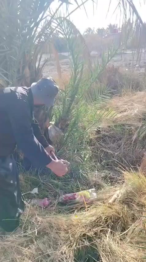 السلام عليكم ورحمة الله وبركاته
يتوفر فسائل شويثي اصفر ب٦ مع القلع
ويتوفر فسائل شكر وخضراوي وزهدي وديري ب٤ مع القلع وبكميات كبيره
وكذلك فسائل بلكات مجذر وقلع
المكان قريب الرميثه
اليريد يجي خاص اويتصل ***********
ويتوفر توصيل لكافه محافظات العراق
