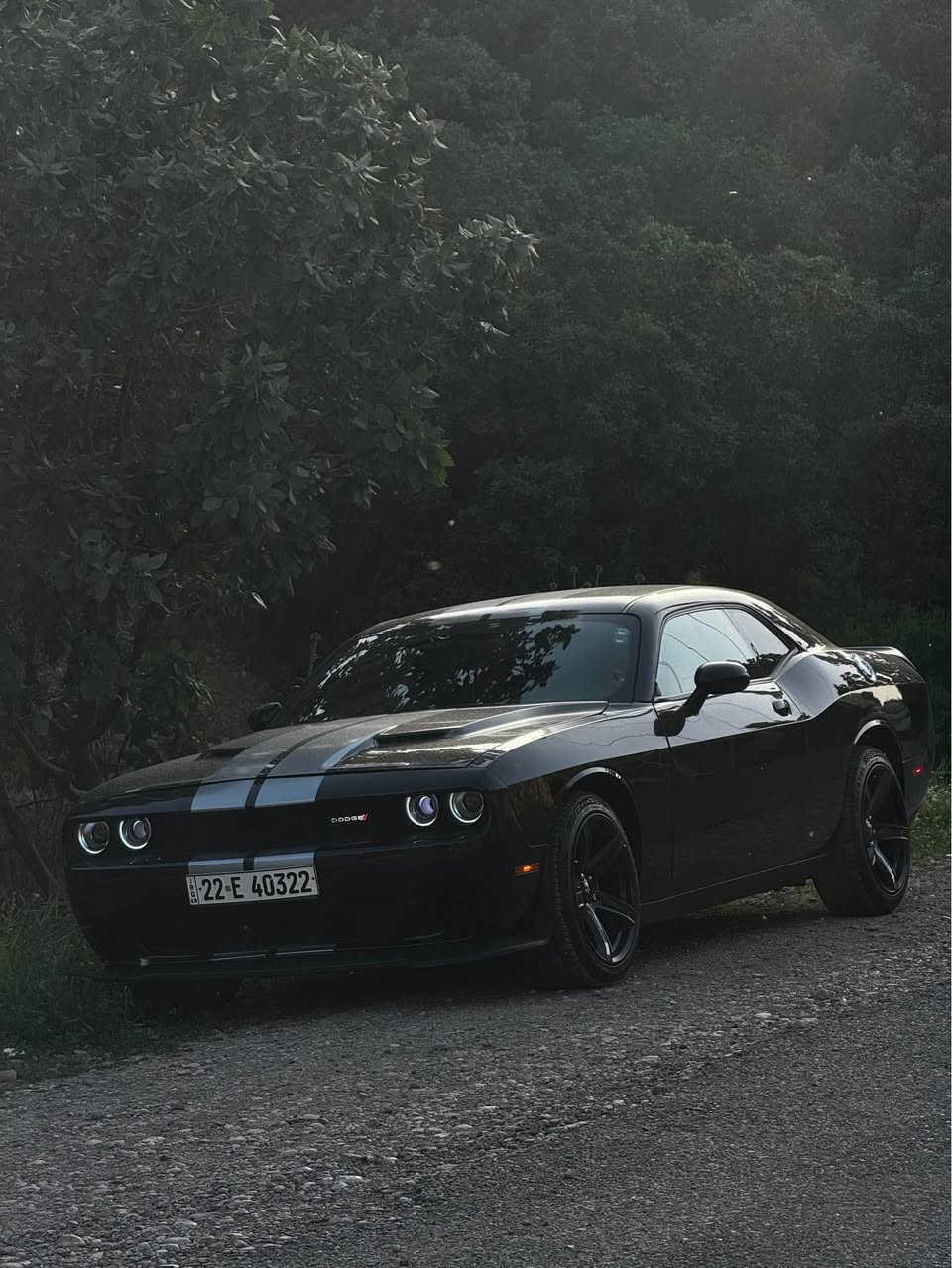 Dodge Challenger 2021 SXT 
بێ ئێرباگ بێ شانسی 67 مایل رۆیشتوە گێر مەکینە ئەکسل کارەبایات هەمووی بە شەرت أربيل, العراق


**إذا كنت صاحب هذا الإعلان وتريد حذفه لأي سبب، رجاءا أرسل رسالة إلى الدعم الفني**