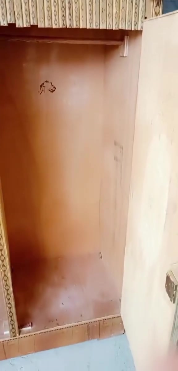 للبيع متوفر توصيل


**إذا كنت صاحب هذا الإعلان وتريد حذفه لأي سبب، رجاءا أرسل رسالة إلى الدعم الفني**