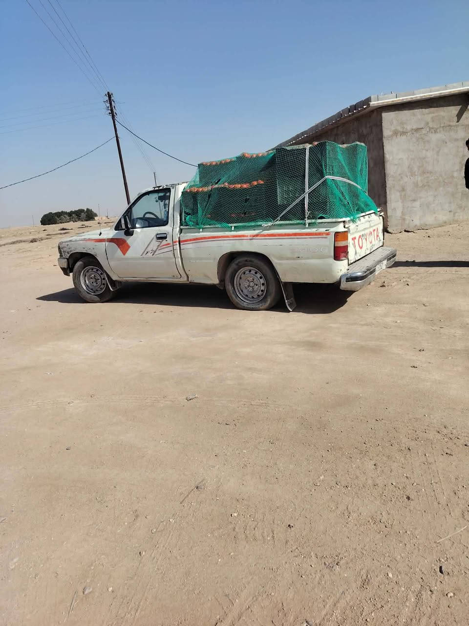 بيكم للبيع 91 رقم جديد انجليزي العنوان البصره الزبير السعر 45 ثانويه لل 27 رقم*********** الهاتف
