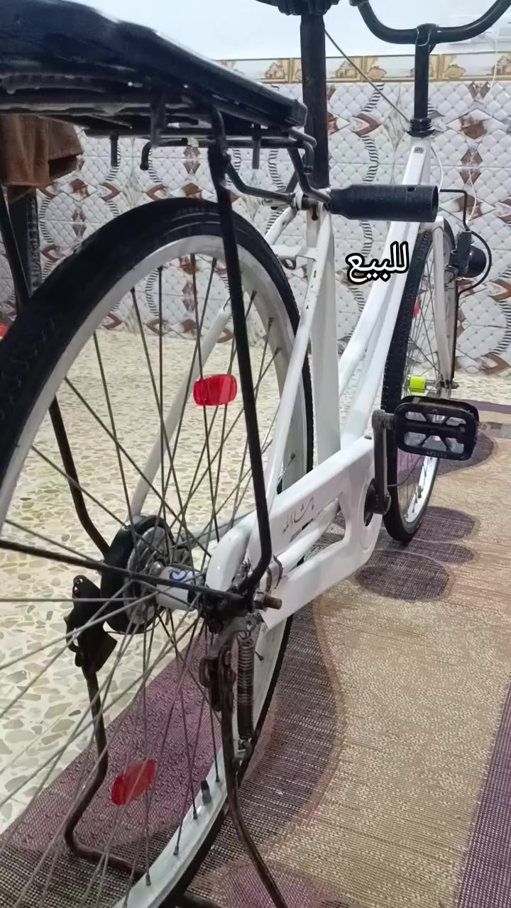 بيسكل البيع حجم 26 مديل 15 سعر 100 وبي مجال


**إذا كنت صاحب هذا الإعلان وتريد حذفه لأي سبب، رجاءا أرسل رسالة إلى الدعم الفني**