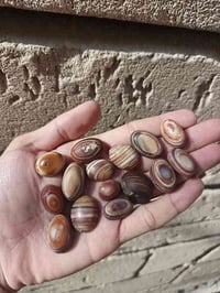 جزع مختلف • إكسسوار