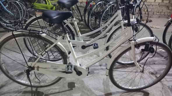 اللهم صلي على محمد وآل محمد
تم بعون الله وصول وجبة باسكلات حاويه 
سوبر Aماركه ياباني 
فول نضافه حجم 26
العنوان الشطرة قرب المعهد التقني مجاور ملعب الشهداء الخماسي للإستفسار على الرقم ***********بي وات ساب 
لالايوجد توصيل
