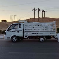 تبن جت • درجة أولى • كيس كبير