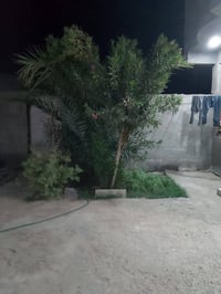 طريق شريكات • ٢٥٠م • غرفتين وصاله