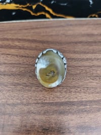 نوادر • قديم • لفظ الجلالة