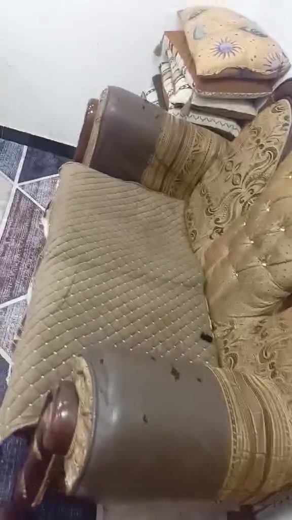 تخم للبيع عشر مقاعد السعر 400 بي مجال لشراي


**إذا كنت صاحب هذا الإعلان وتريد حذفه لأي سبب، رجاءا أرسل رسالة إلى الدعم الفني**