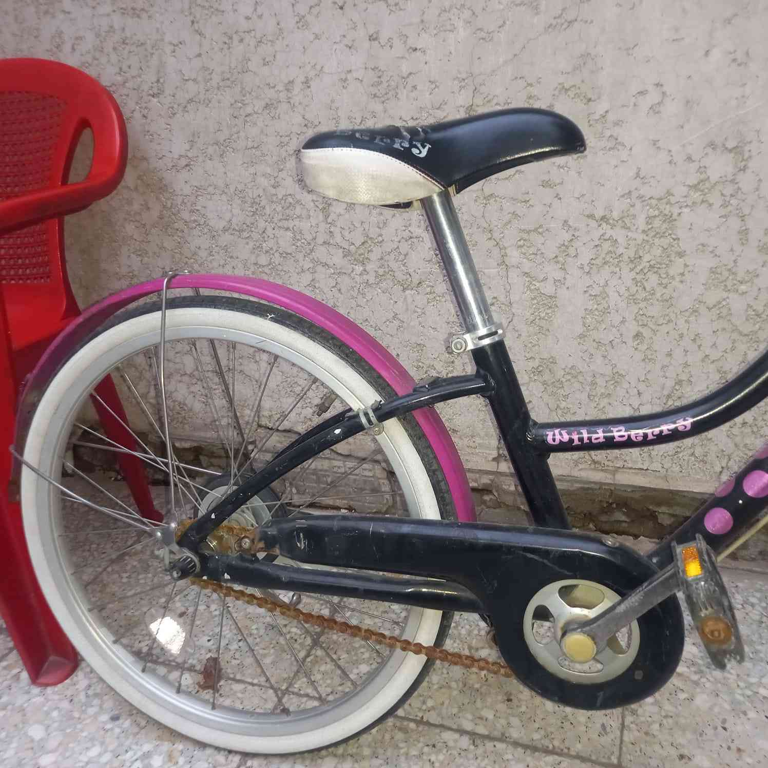 متاح بايسكل حجم 20مال باله نضيف السعر 65مكاني بغداد الشعب


**إذا كنت صاحب هذا الإعلان وتريد حذفه لأي سبب، رجاءا أرسل رسالة إلى الدعم الفني**