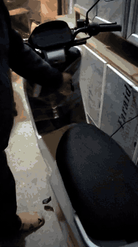 دراجة شحن • بوليس ٦ • بغداد