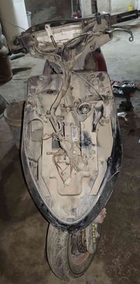 دراجة سيام • نحلة • ديالى بعقوبه