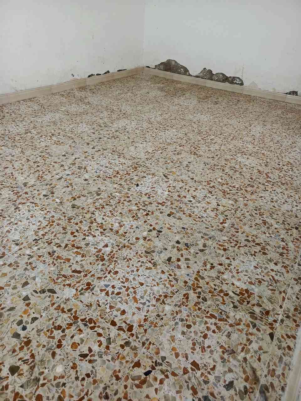 السلام عليكم ورحمة الله وبركاته #شغلنه_انشالله_يعجبكم 
شغل لبخ سمنت جص بورك كاشي سيراميك ترميم تفليش تطبيك مقرنص ارضيات بناء بلوك طابوك صبغ لبخ وجهات نشتغل كافه العمل درجة اولى سرعه ونضافه اتصل خادم ***********
