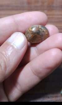 داودي هندي • زيتوني • جالب حظ