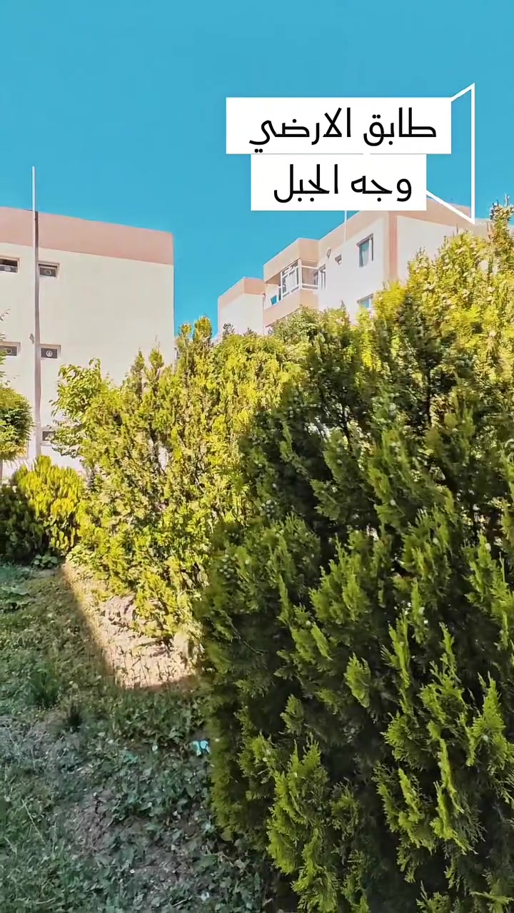 🔥 شقة بإطلالة جبل وحديقة خاصة وقريبة من مركز المدينة! 🔥

إذا تبحث عن الراحة والموقع المميز، هذه فرصتك 👇

🏡 شقة 100م – طابق أرضي
🏔️ إطلالة مباشرة على الجبل
🌳 حديقة جميلة ومساحة مريحة للعائلة

✨ تتكون من:
✔️ غرفتين نوم
✔️ صالة واسعة
✔️ غرفة استقبال
✔️ مطبخ حار
✔️ مخزن

📍 الموقع: داخل مجمع ديلان الأول – منطقة كازيوا
🏥 بالقرب من مستشفى فاروق الطبية
🚗 دقائق قليلة عن مركز المدينة و قريب كن جافي لاند 

💬 اكتب "معلومات" في التعليقات وسنرسل لك جميع التفاصيل
📞 أو اتصل 
0770 897 3030 

مکتب عقارات کۆڤان حاجی 
#fypageシ #viral #اكسبلور #ffypシ #fyyyyyyyyyyyyyyyyyyyyyyyyyyyyyyyyyyyyyyyyyyyyyyyyyyyyyyyyyyyyyyyyyyyyyyyyyyyyyyyyyyyyyyyyyyyyyyyyy #fyyyyyyyyyyyyyyy #foryouシ #virralreels #sulaymaniyah #estateplanning #estatesales #للبيع #للبيـــــــــــــع
