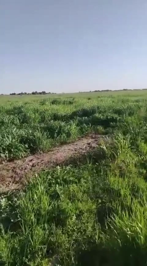 1000 دونم طابو سند 25 شاطيه على شط الفرات موجو ببهن 500 نخله مي السقي كامل موجود...  بالديوانيه  ناحية البساميه.قضاء الحمزه عادي ينباع منها (100/ 200 /300)
سعر الدونم (3) 
للاستفسار اكثر خاص ..


**إذا كنت صاحب هذا الإعلان وتريد حذفه لأي سبب، رجاءا أرسل رسالة إلى الدعم الفني**