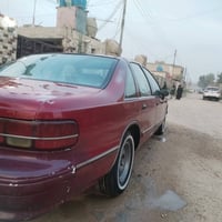 دولفين كير • ٩٣ • رقم بصره