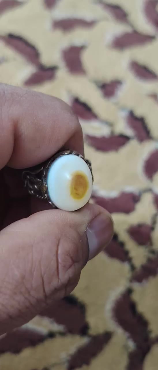 سليماني عطف وجه أسد واضح


**إذا كنت صاحب هذا الإعلان وتريد حذفه لأي سبب، رجاءا أرسل رسالة إلى الدعم الفني**