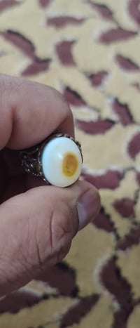 سليماني • عطف • وجه أسد واضح