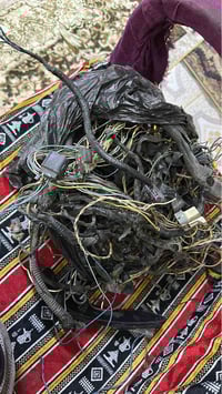 ضفيره كمارو SS • عقل • نوزلات