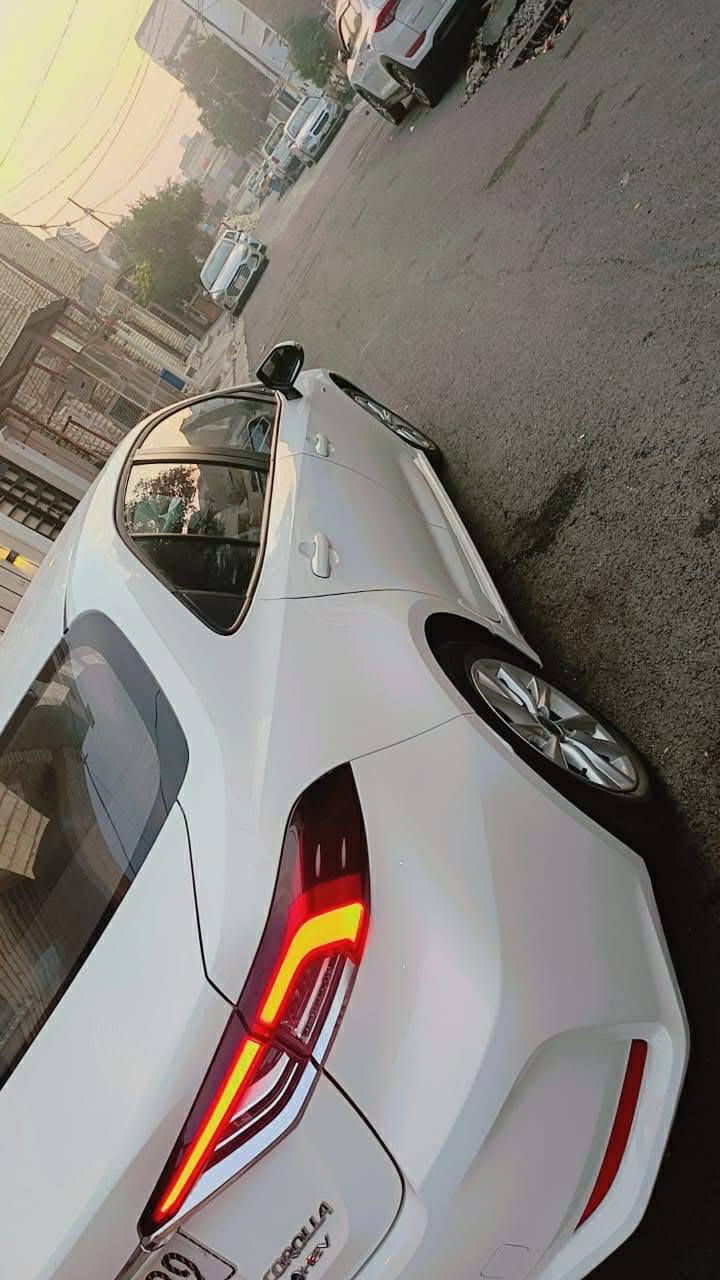 سلام عليكم  كورله 24 هايبرد مكفوله السعر 146 بيها مجال شي بسيط ***********
