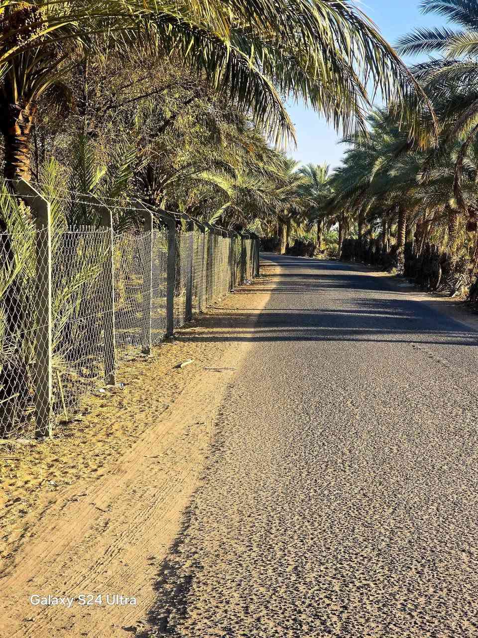 السلام عليكم
قطعه مساحه نص دونم 
السند 25 تحويل مباشر
وبيها مغروزات اكثر من نوع
مواقع خلف جامعة بابل 
يم المرقد نبي الله ابراهيم الخليل
 تبعد عن الشارع العام مسافه قليه جداا 
متواجد كافة الخدمات من ناحيه
الماء وكهرباء ماء سقي 
لاستفسار اكثر الاتصال على الاقام التاليه
***********

‏‪
