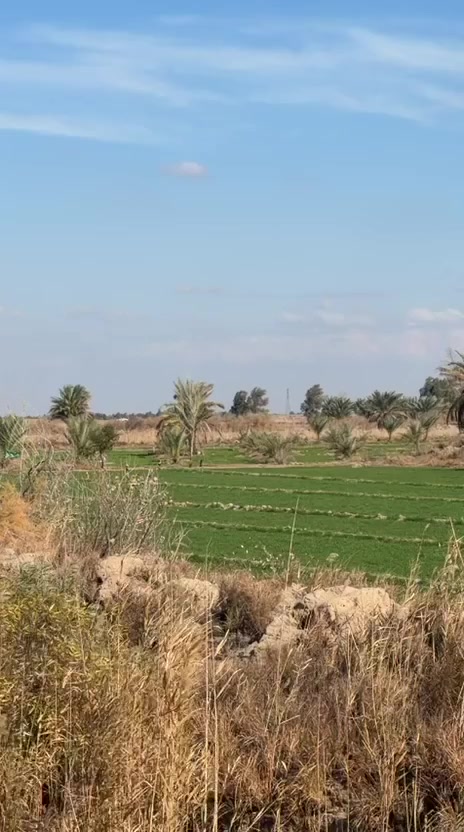 كاع7دونم  ونص عل طريق حمزة شوملي عل طريق الدولي قبل جسر الشمولي زيار
متوفره كافة الخدمات ماء +كهرباء
ارض حلوه صالحه للزراعة
للاستفسار الاتصال عل الارقام التالية
***********
***********
