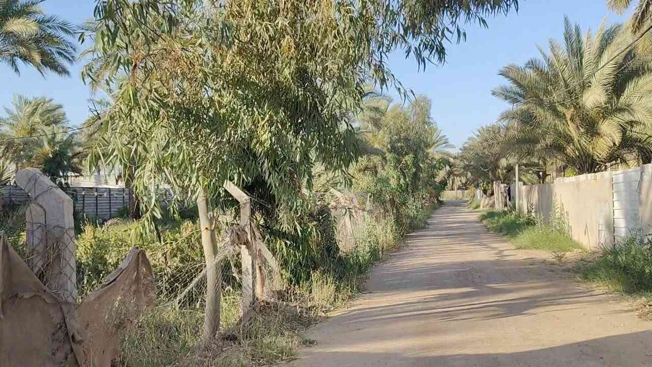 عرض مميز جدا وسعر ممتاز نصف دونم طابو زراعي سند 25 تحويل مباشر للمشتري وليس اقرار 
على شارعين عرض الشارع 8 متر والواجهه على كل شارع 22 متر الي ياخذه يكدر يقسمه نصين كل ربع دونم على شارع كافة الخدمات متوفره عن التبليط 75 متر وعن الشارع العام كيلو 
الموقع: شارع بغداد كربلاء سايد الخروج عمود 174 سعر 155 مع المجال للمشتري 
***********

