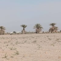 دوانيه نجف الشافعيه • ٢٥تحويل • ماء سقي