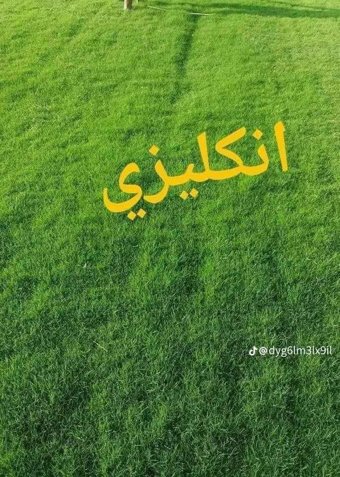 يوجد ثيل طبيعي يوجد توصيل مجاني رقمي *********** وتساب
