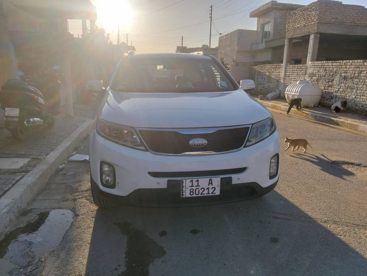 سورنتو 14 بغداد باسمي مكينه 4سلندر خليجي كفاله عامه تخم تاير بالباكيت مكينه كير خير من الله صدر جديد كلش 7راكب 3قطع تبريد السعر 185بيها مجال بسيط للشراي       هذا رقمي *********** أبو شمس
