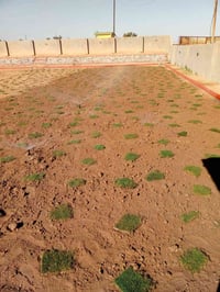 عمل ديكورات حدائق باسعار مناسبه استفسار على رقم 07774893466