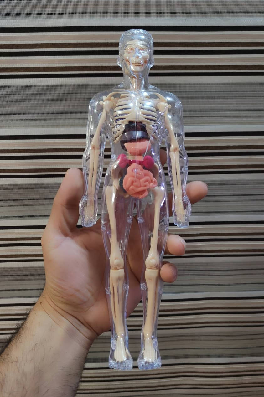 للبيع سعر ١٥ العنوان ناصريه مركز


**إذا كنت صاحب هذا الإعلان وتريد حذفه لأي سبب، رجاءا أرسل رسالة إلى الدعم الفني**