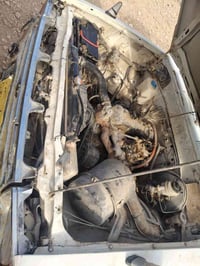 بيكم • ١٩٨٢ • بعقوبه