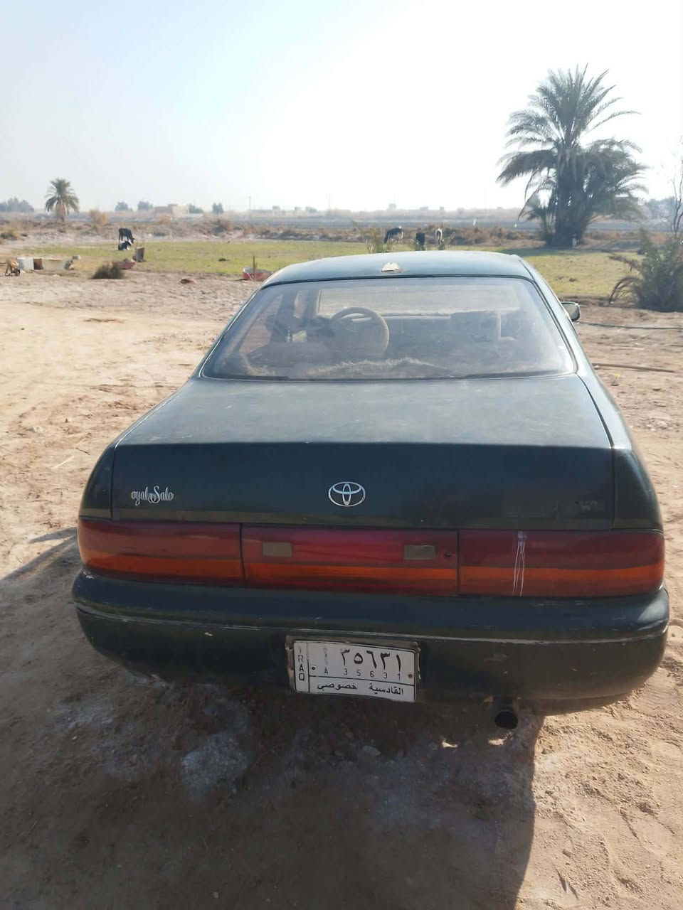 مكلف بالنشر

سلام عليكم سياره بطه منتصل موديل 1994 رقم قادسيه مشروع وطني بسمي مداور ثاني يوم سياره متروكه متعوبه شويه عوزهاا ترتيبات نواقص بصيطه مكينه نص عمر كير خير من الله السياره مكفوله من الكص ونقل جثه والعيب الشرعي وحالين بيهاا  بيه خلل كهرباء كطع نار سياره ابيع كوم حديد اتكفل مداور فقط السعر خاص
انتصل ‏‪0782 905 0949‬‏
