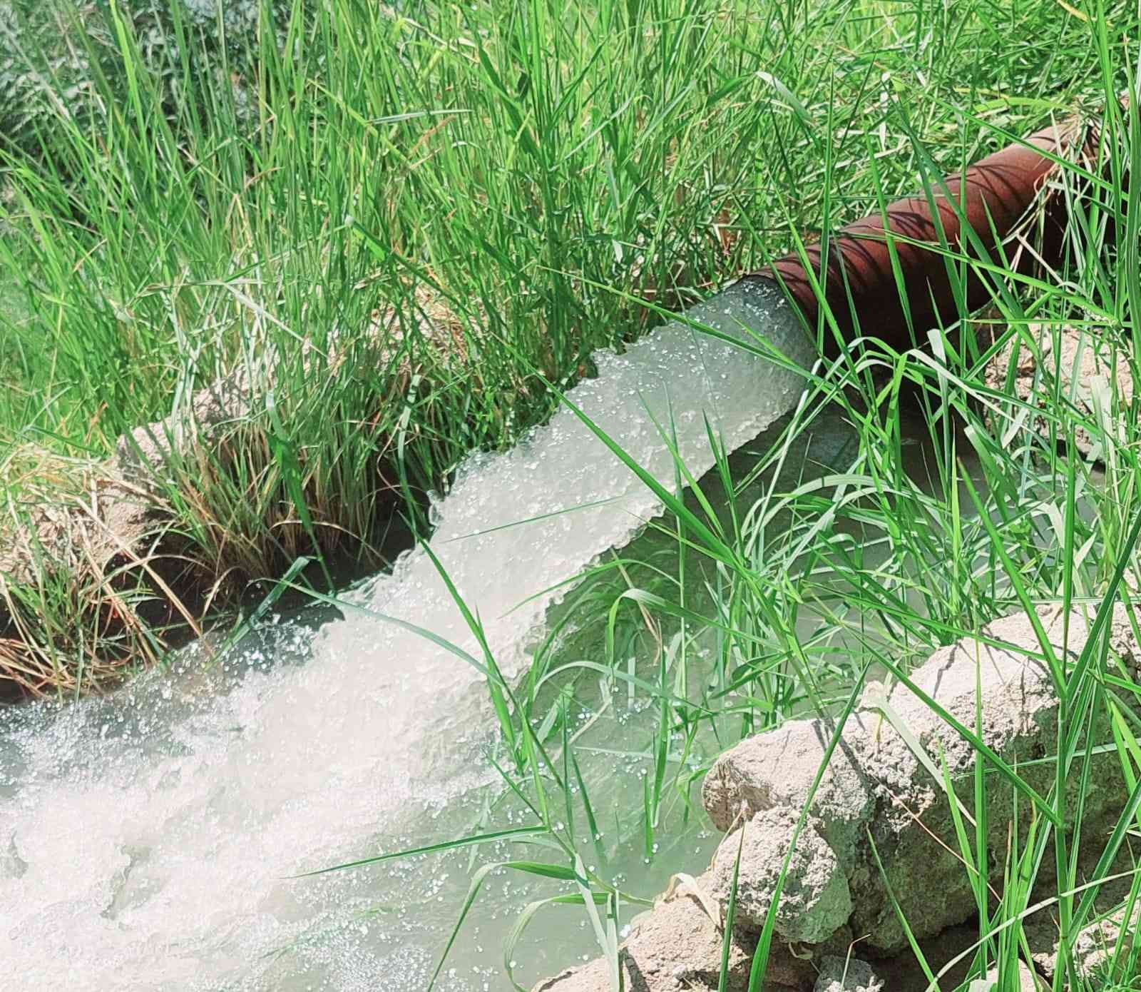 ماطور كهربائي ملفوف ٣٥احصان شغال وخنزيره هنديه وبوري طوله ب١٥ متر ومذب ولوحة كهربائيه كل ملحقاته ابيعها وياه السعر خاص العنوان السماوه


**إذا كنت صاحب هذا الإعلان وتريد حذفه لأي سبب، رجاءا أرسل رسالة إلى الدعم الفني**