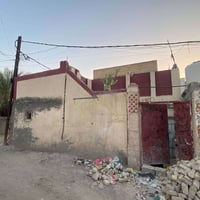 مجمع عباس الربيعي الباشيه • ١٠٠م • طابو زراعي