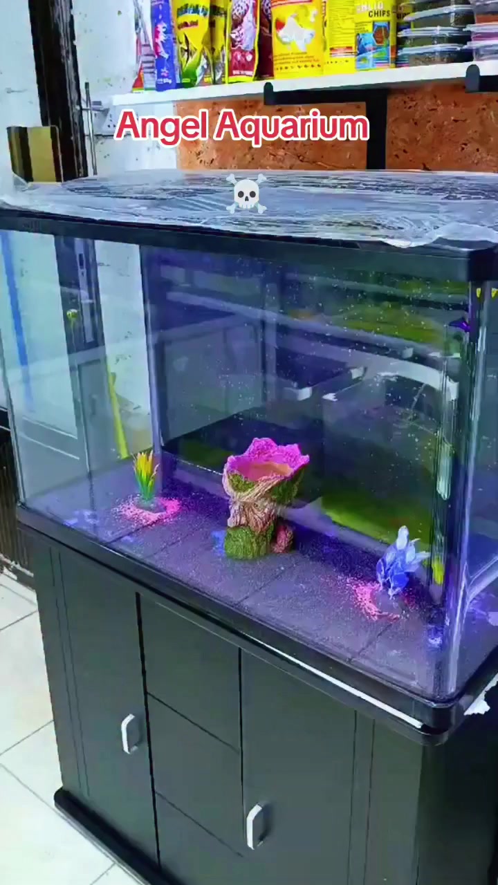 حوض اسماك حجم 80 ارتفاع متر و20 سعره بلاش 175 حله مركز كامل فلتره واناره


**إذا كنت صاحب هذا الإعلان وتريد حذفه لأي سبب، رجاءا أرسل رسالة إلى الدعم الفني**