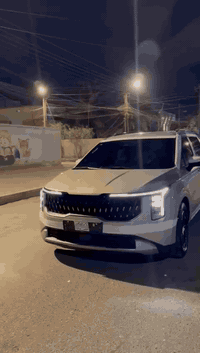 السلام عليكم 
سياره كرنفال 2025. السياره v6  كفاله عامه السياره كلش جديده بيبان سلات كهرباء كشنات تبريد تدفئه بصمه تشغلي عن بعد فول مواصفات السعر ٣٤٠
الهاتف/***********
