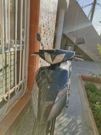 ماكس ثعلب • نضافه • مكفوله