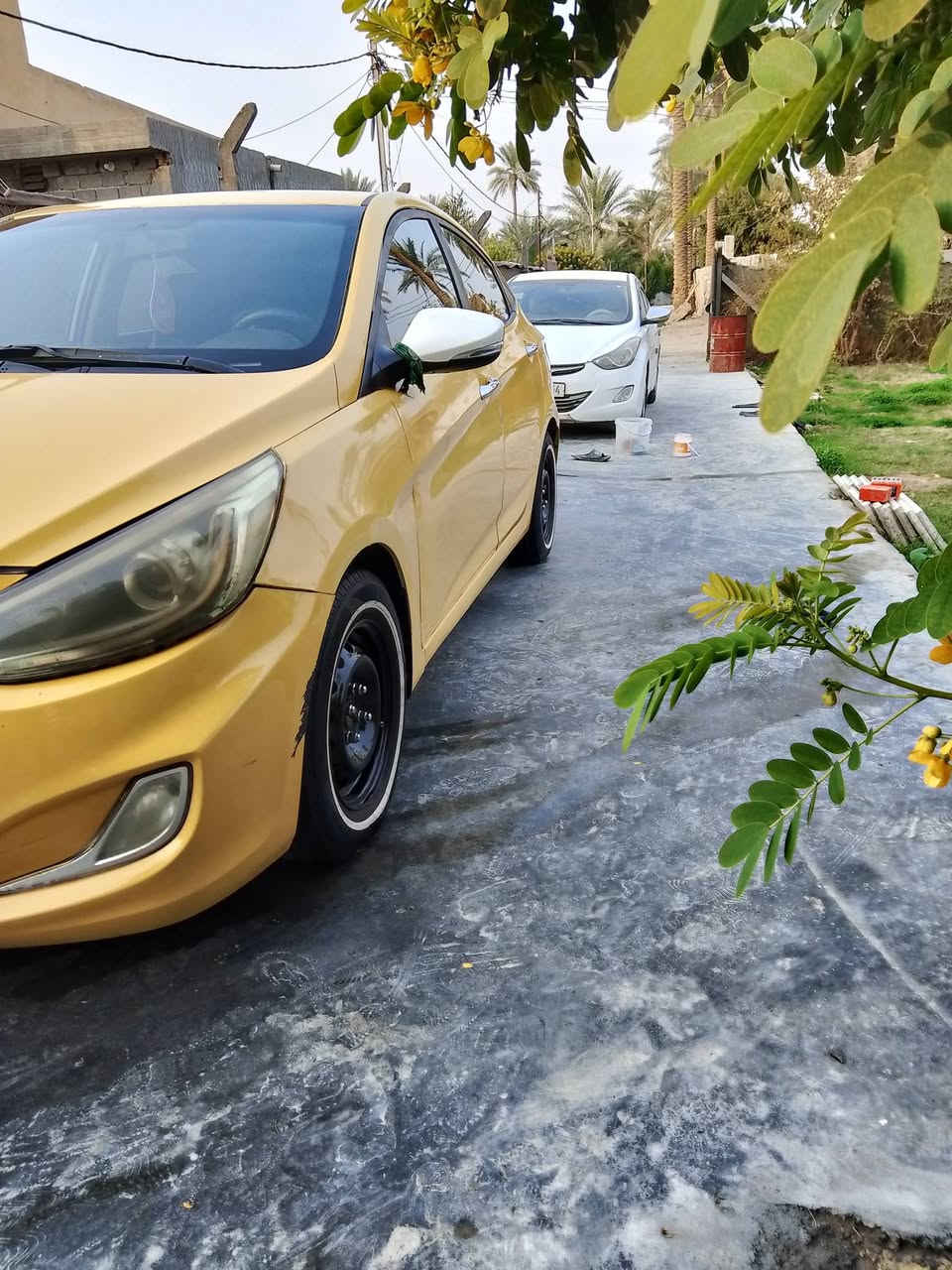 سلامه عليكم كسنت مديل 14خليجي قطرتين دوش مكينه كير مكفولات حداديه تبريد تدفئه كفاله سياره جاهزه مال جناي مابيه اي حادث وسونار موجود بل منشور رقم بغداد نكليزي باقي  بس ستلام  بسمي موصفات كسنت معروفه نضام ايكو اشاير بل مري منضومت زنون اصلي معه عدسه الاتصال او وتساب ‏‪0788 414 2902‬‏ بسعر مناسب
