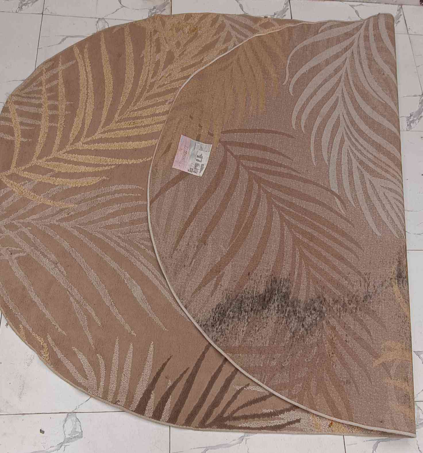 زوليه 2×2.90 نظيفه مال كويت السعر25 الف يوجد توصيل لكل المحافظات بغداد, العراق


**إذا كنت صاحب هذا الإعلان وتريد حذفه لأي سبب، رجاءا أرسل رسالة إلى الدعم الفني**