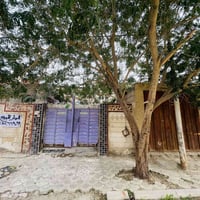 حي التاميم نزلة سيد ايوب • ٢٠٠م • طابو